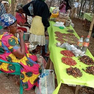 RAPPORT D’ACTIVITÉS DE LA 3 ÉDITION DE LA FOIRE DES SEMENCES PAYSANNES DU CAMEROUN